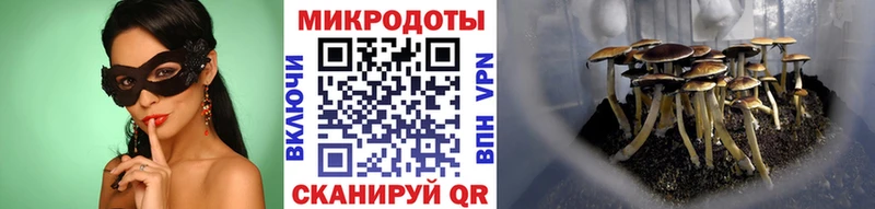 Галлюциногенные грибы GOLDEN TEACHER  Палласовка 